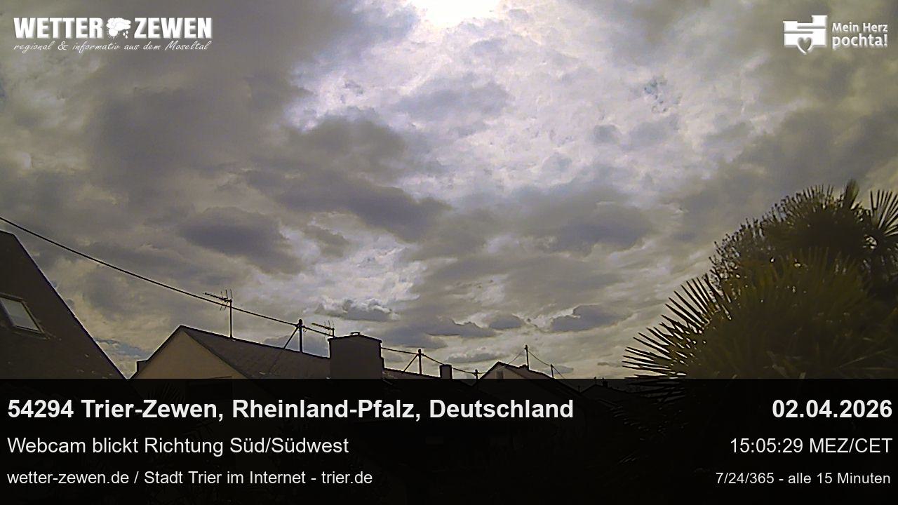Bild