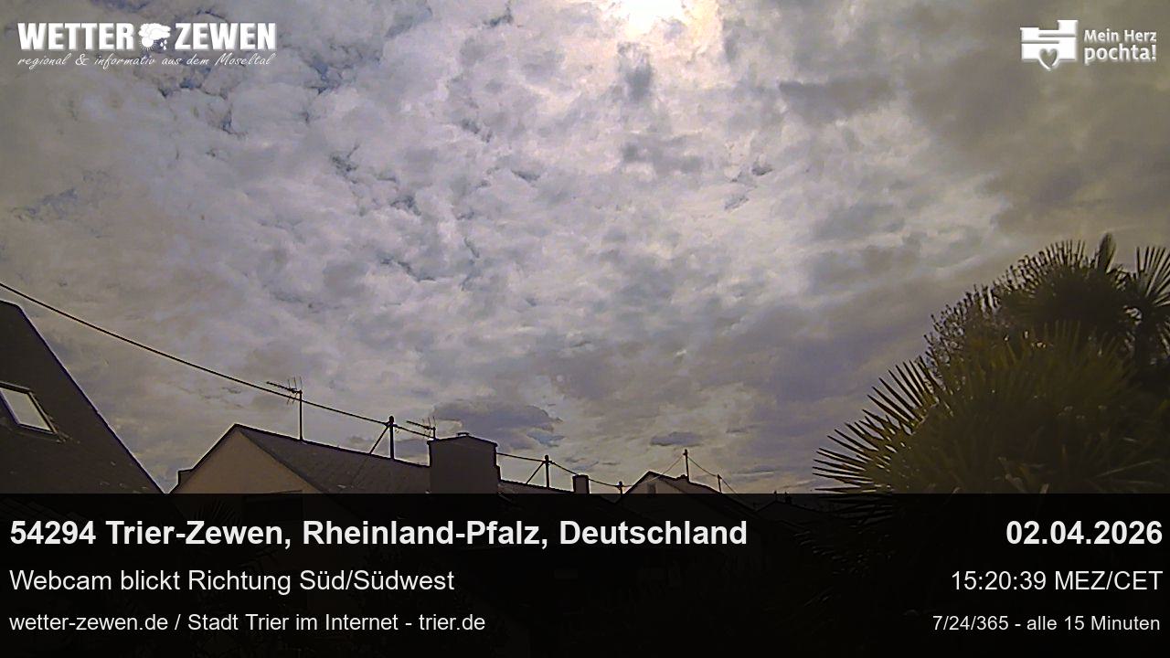 Bild