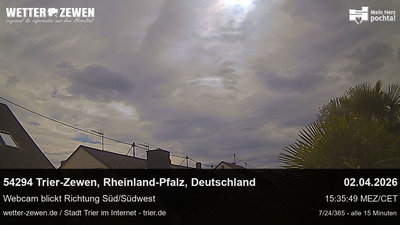Bild