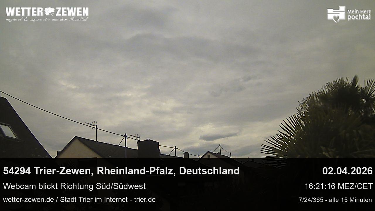 Bild