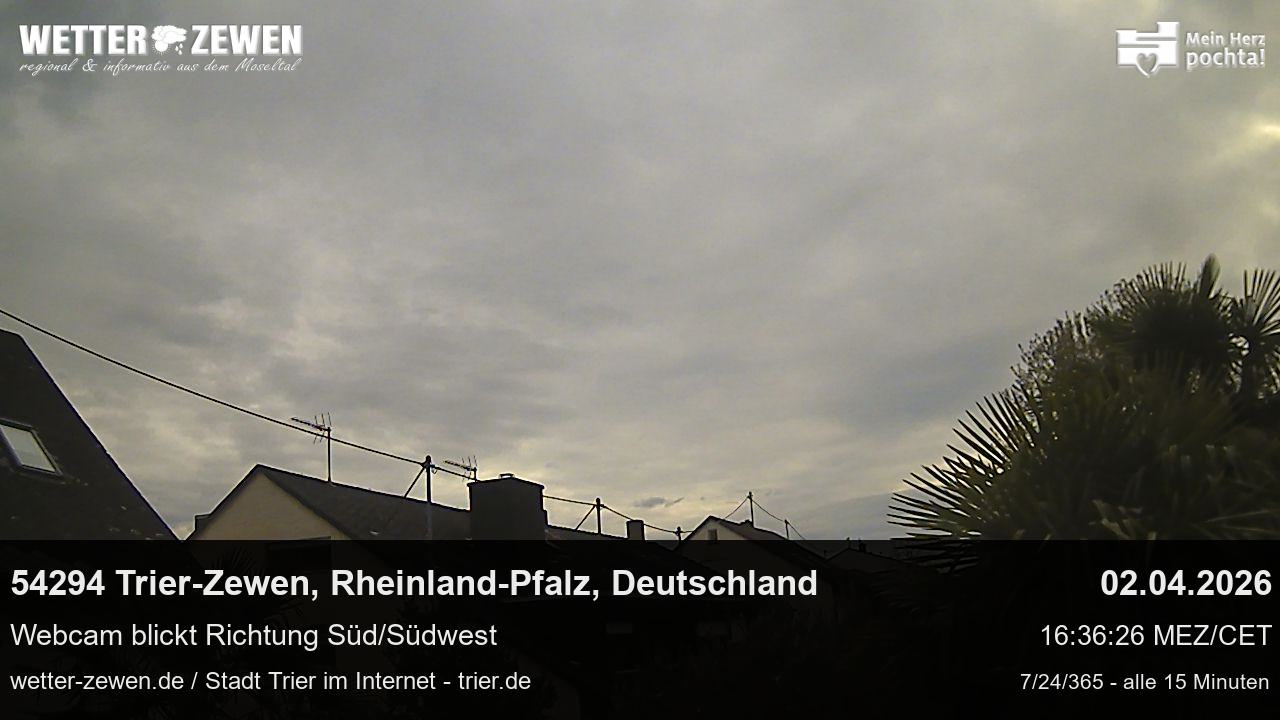 Bild