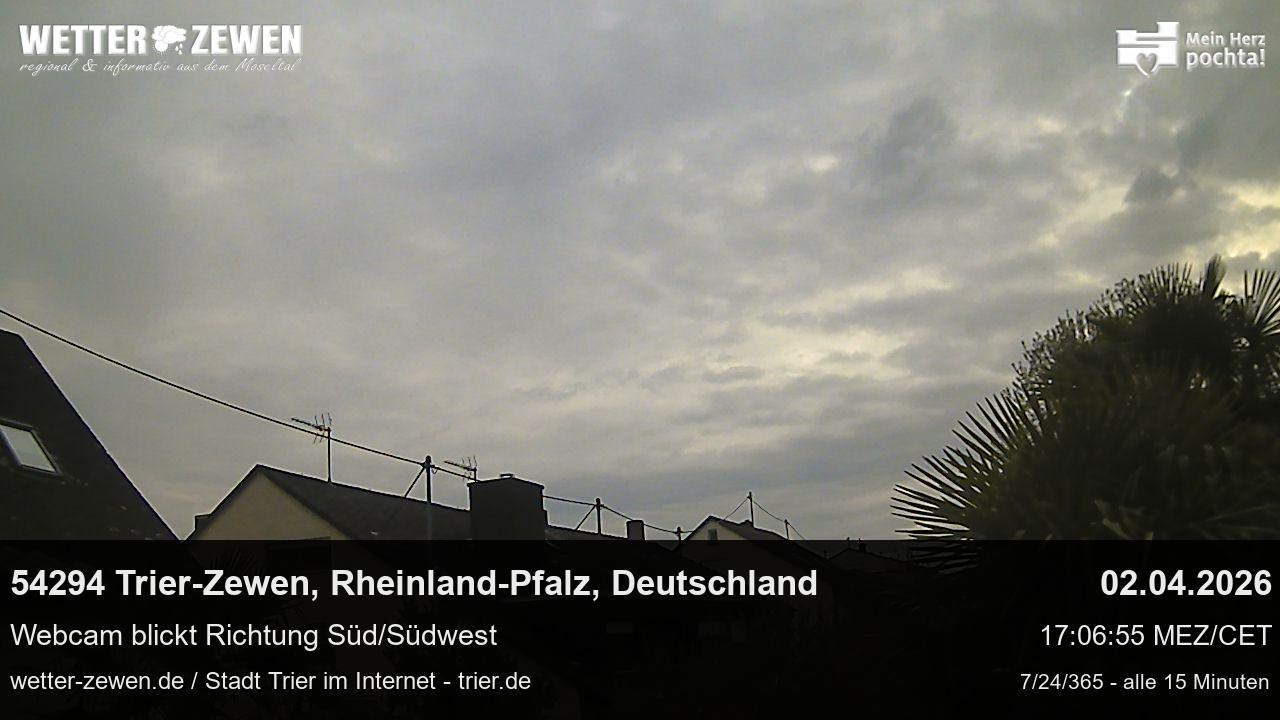 Bild