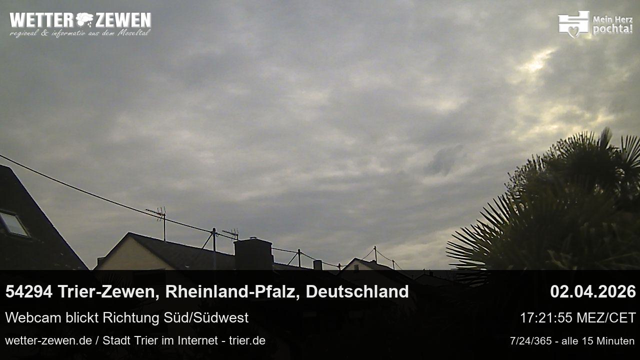 Bild