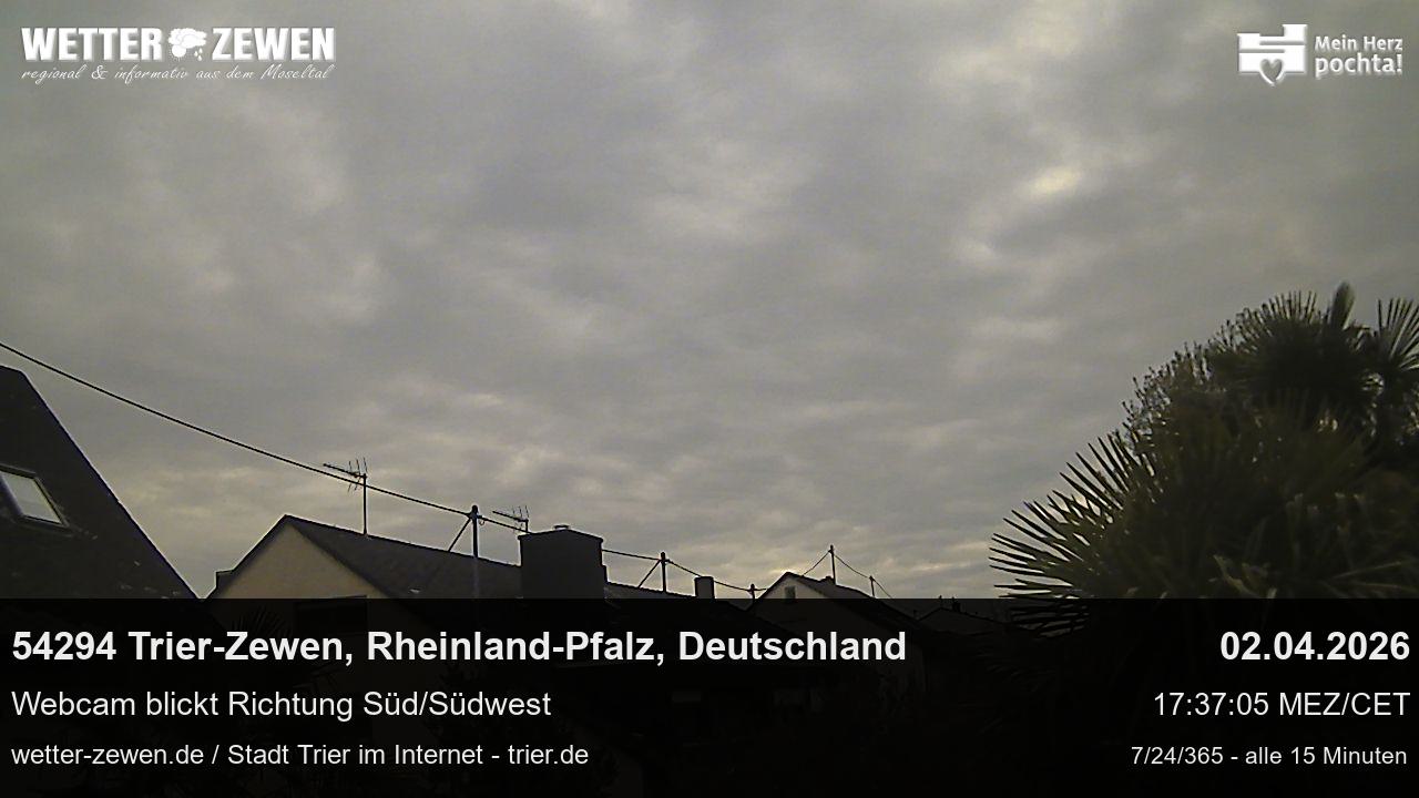 Bild