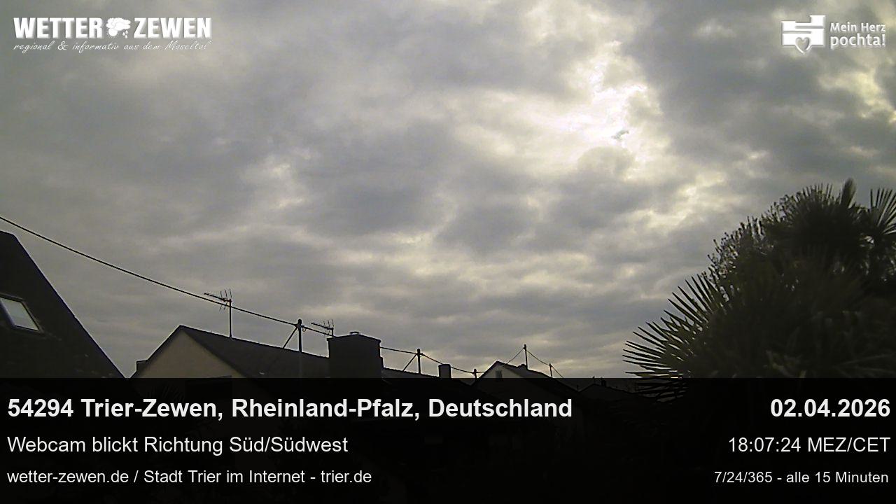 Bild