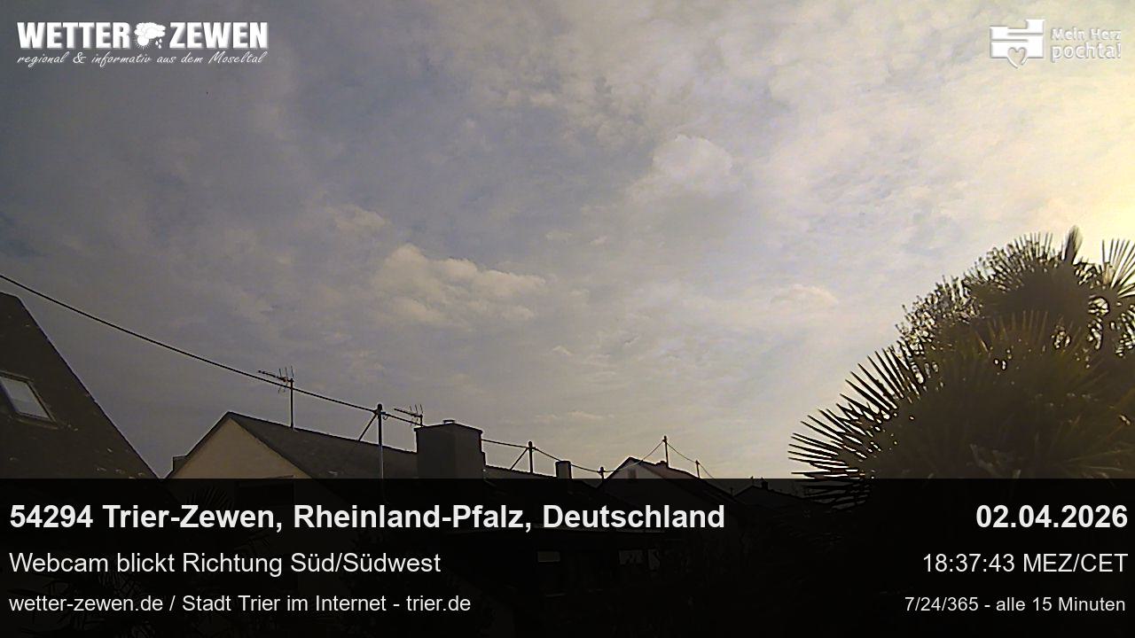 Bild