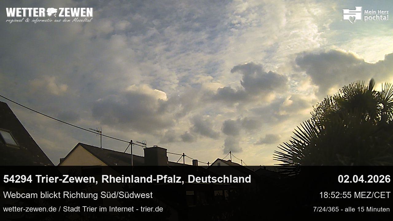 Bild