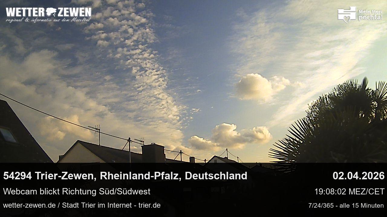 Bild