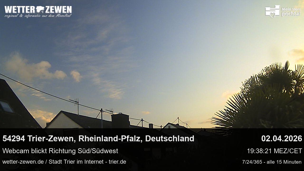 Bild