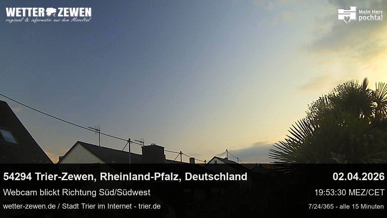 Bild