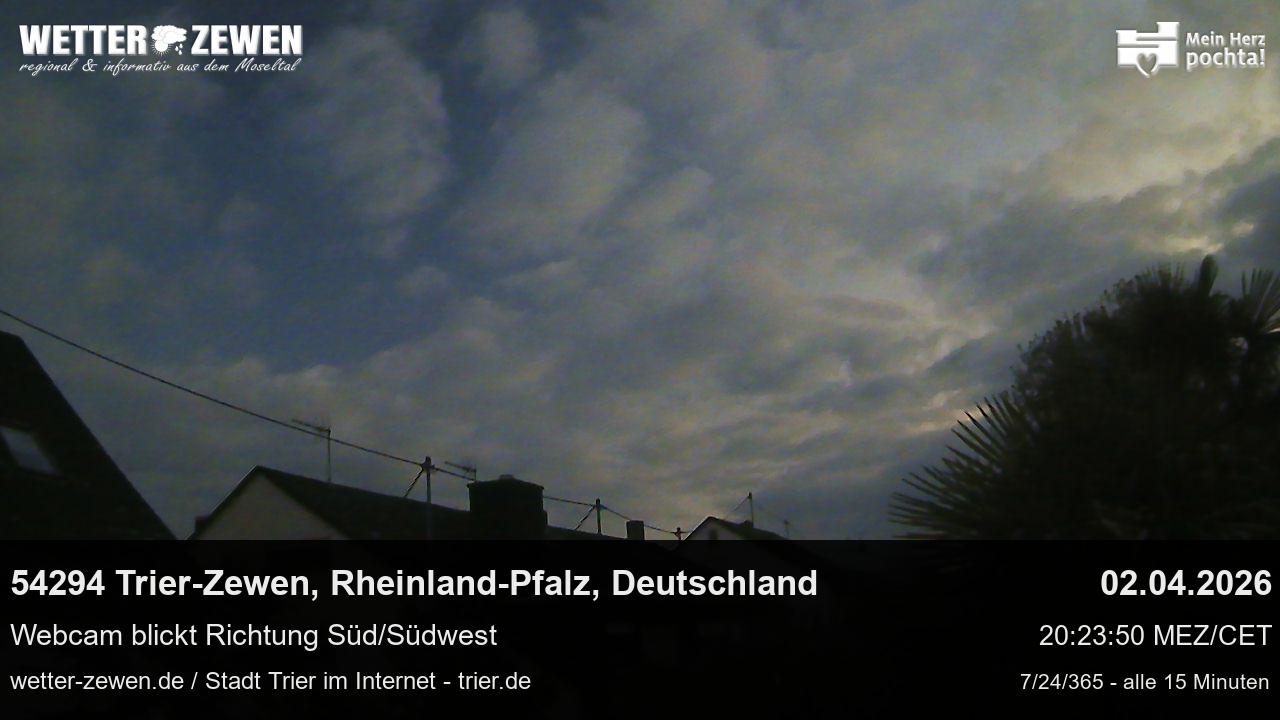 Bild