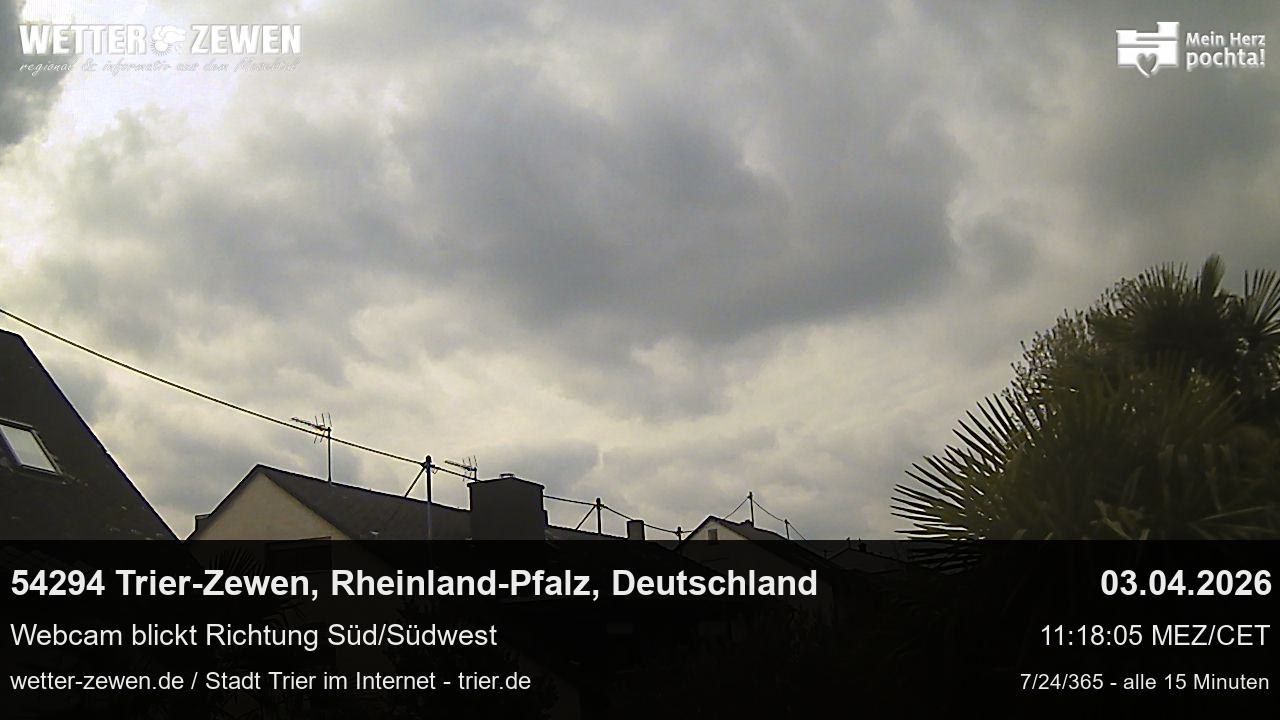 Bild