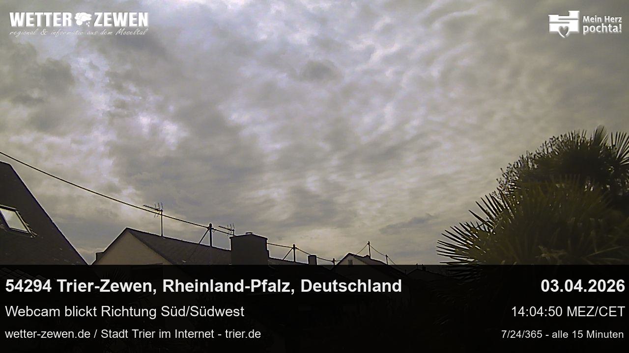 Bild