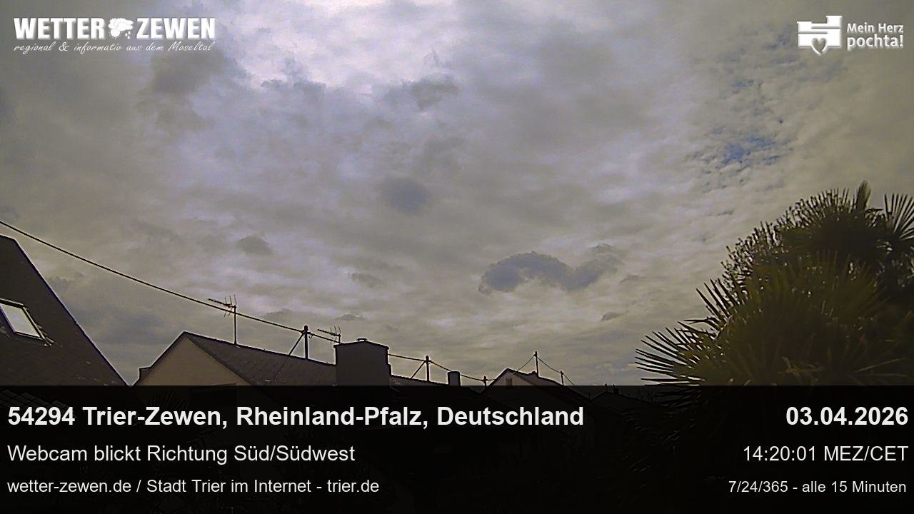 Bild