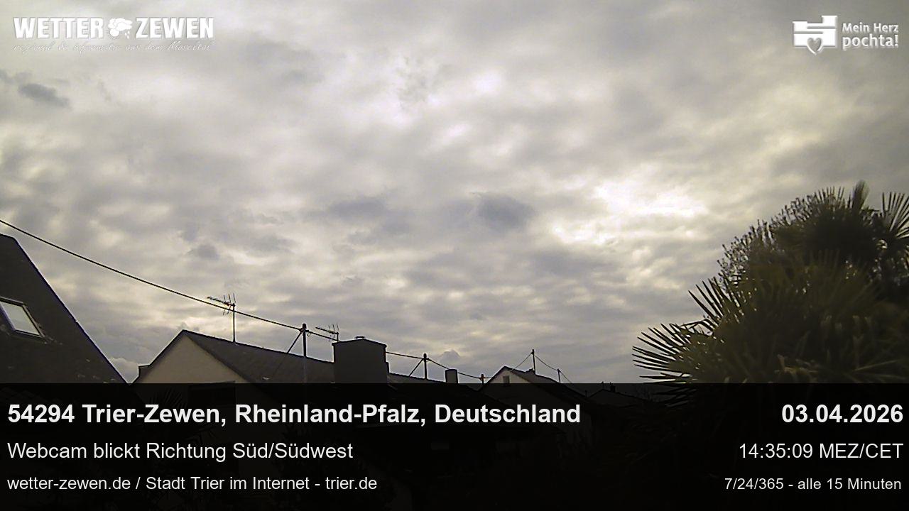 Bild