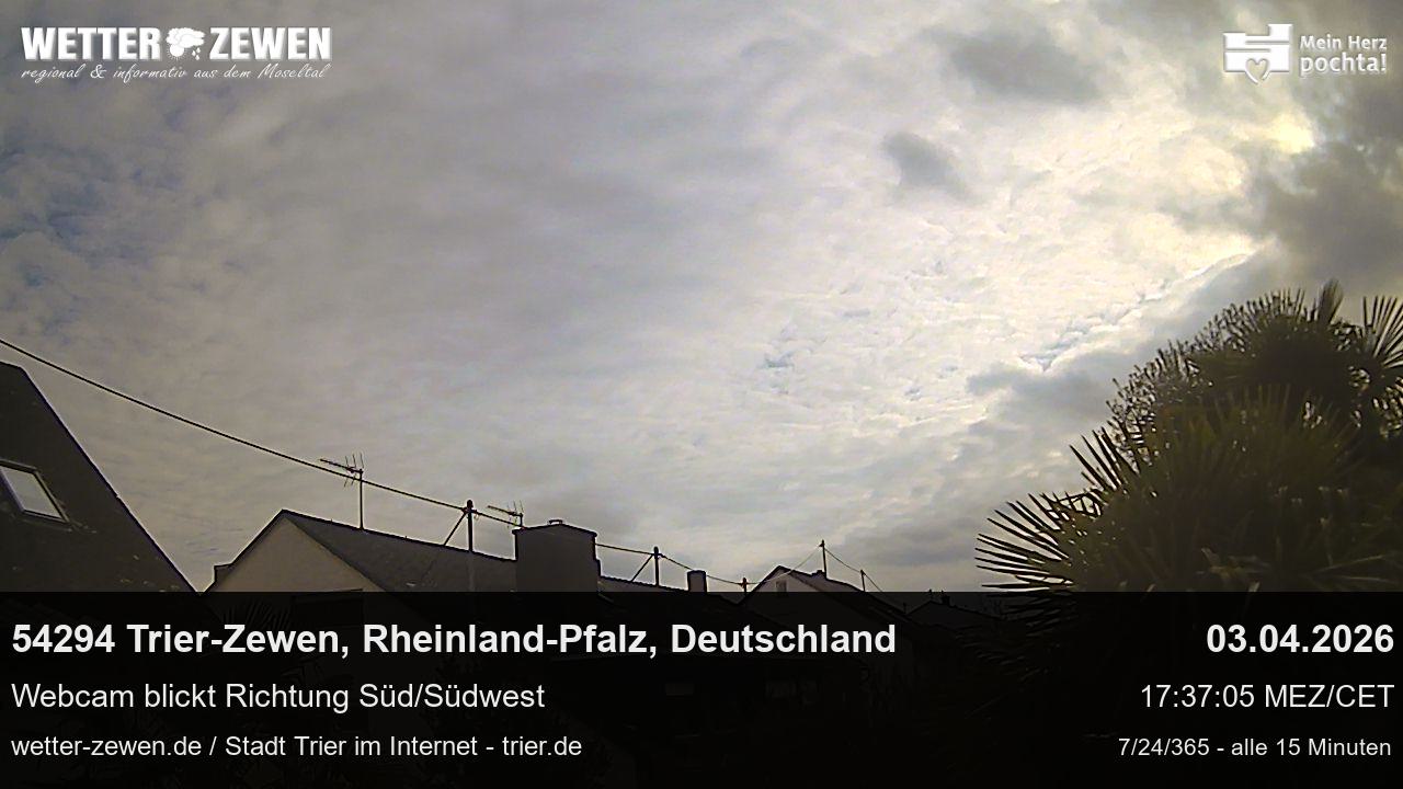 Bild