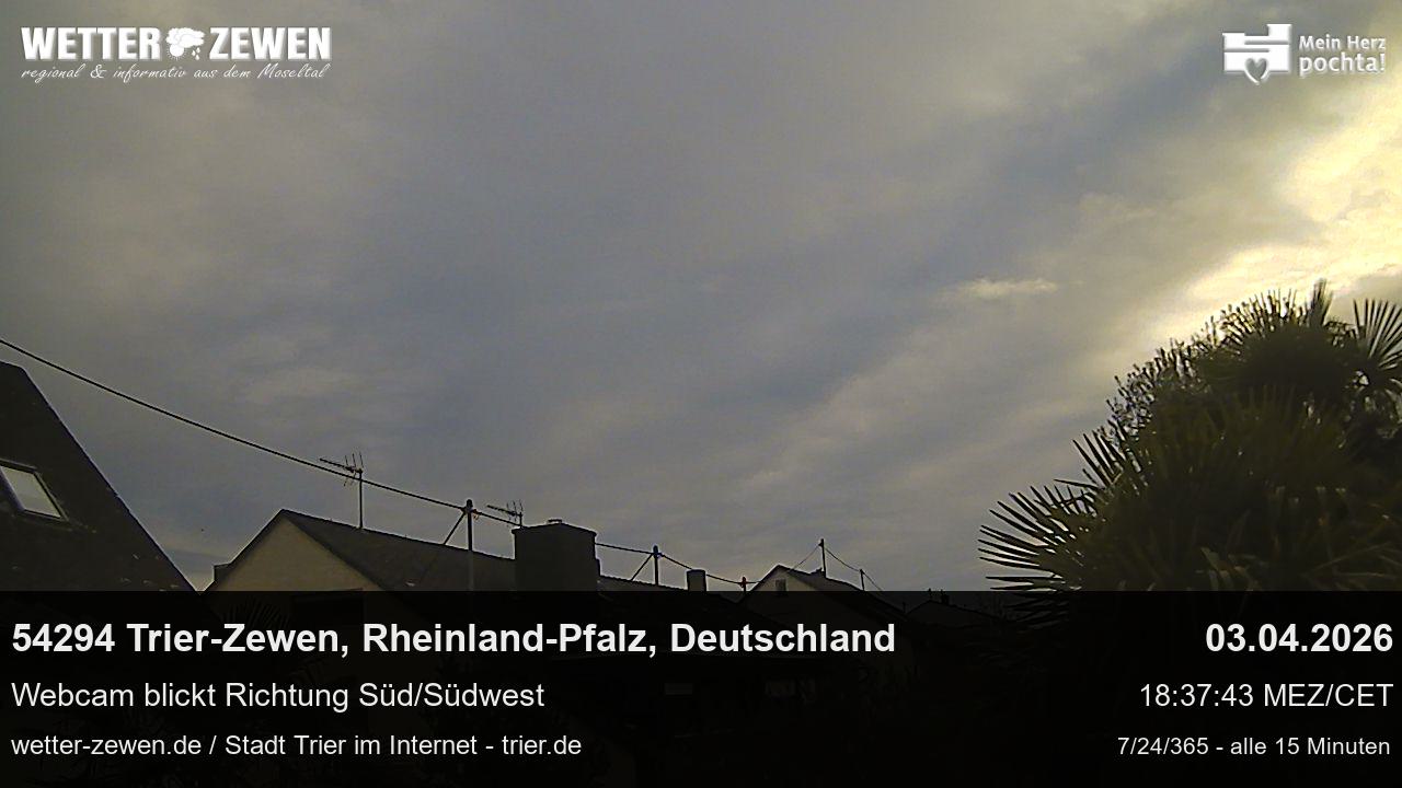 Bild