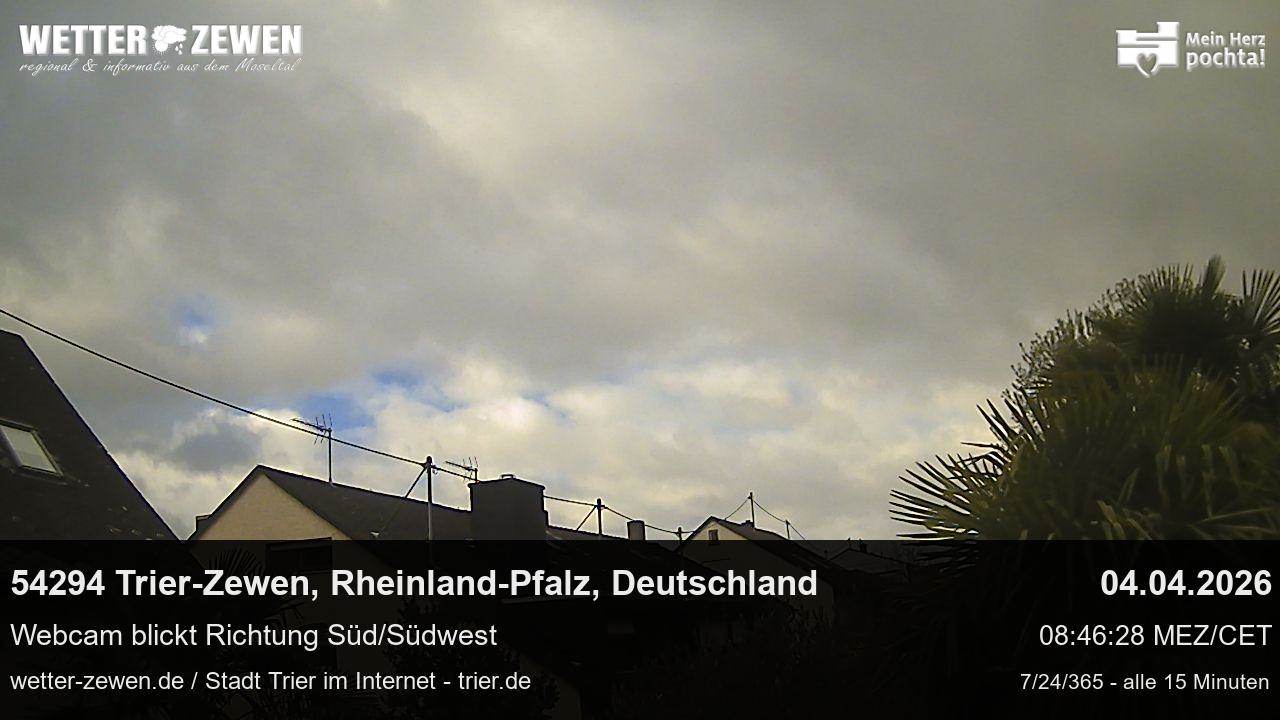 Bild