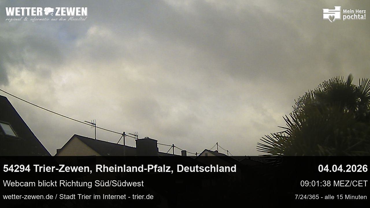 Bild