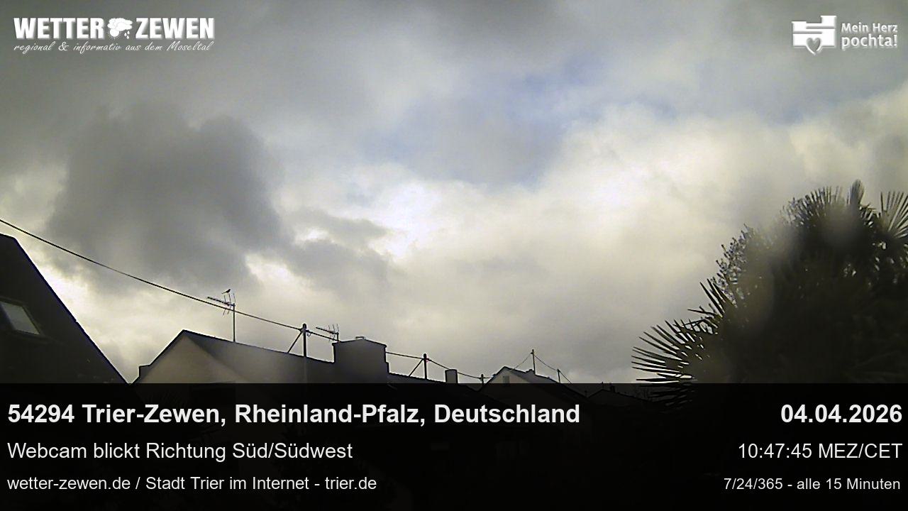 Bild
