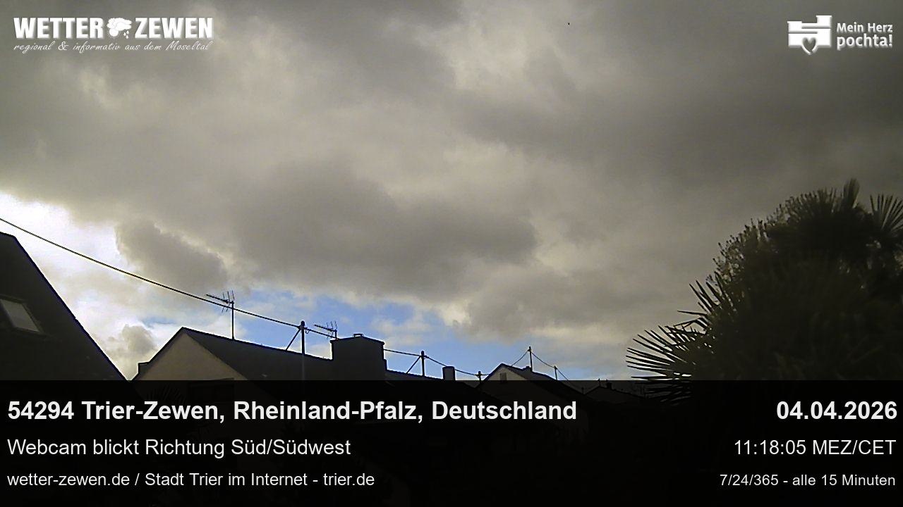 Bild
