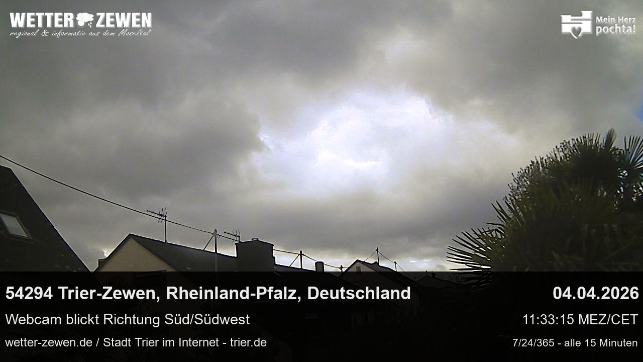 Bild