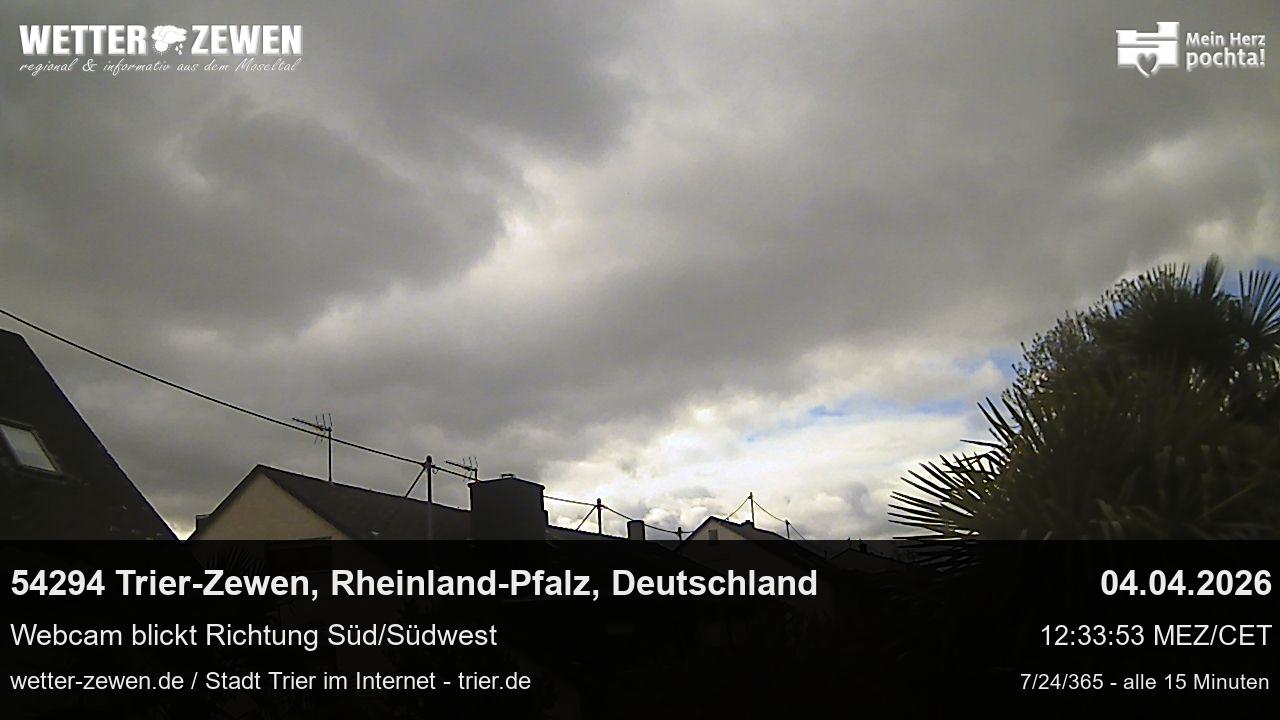 Bild