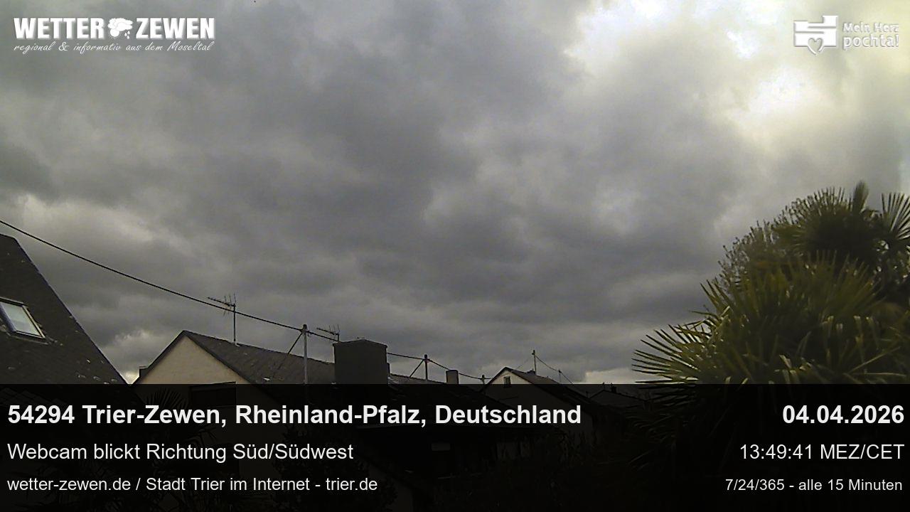 Bild