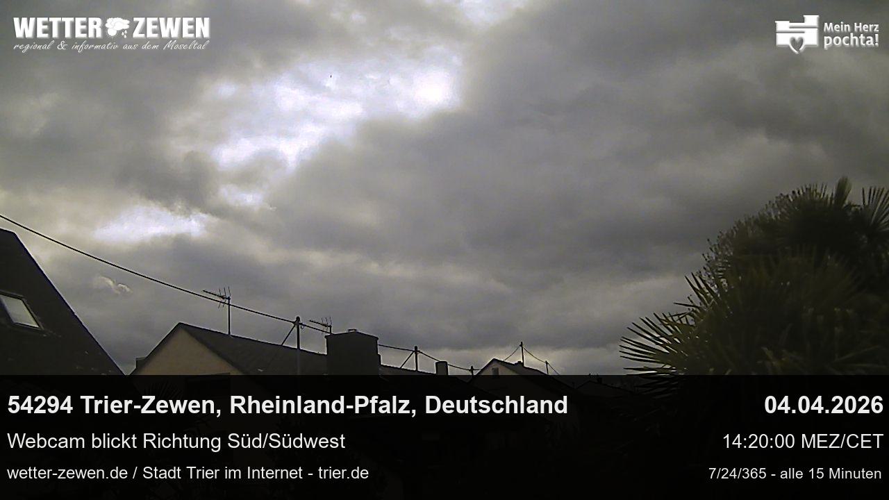 Bild