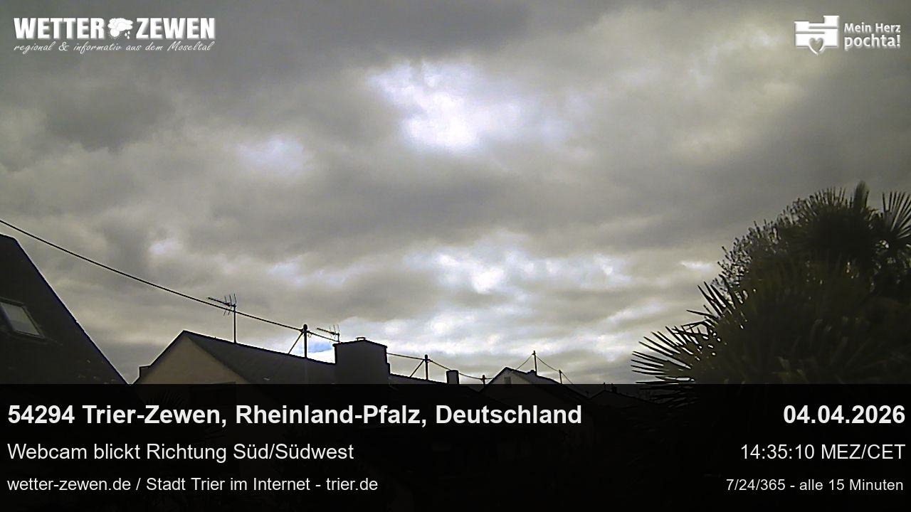 Bild