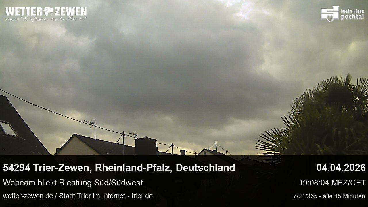 Bild