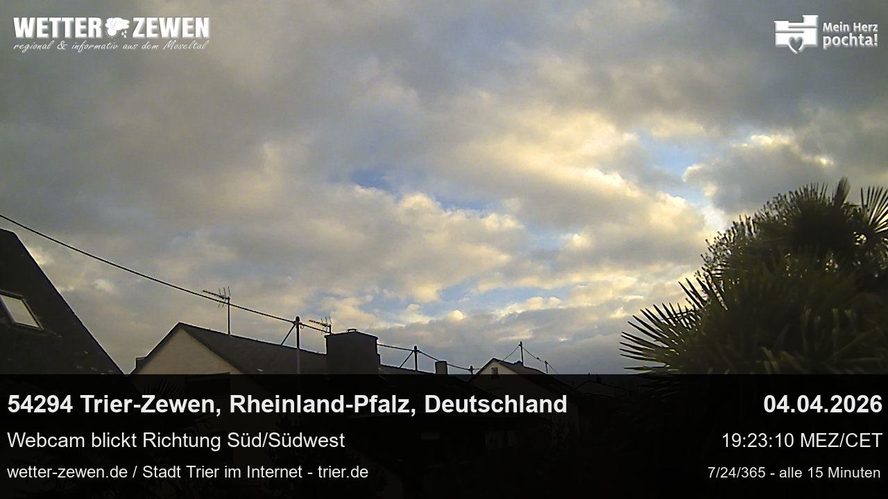 Bild