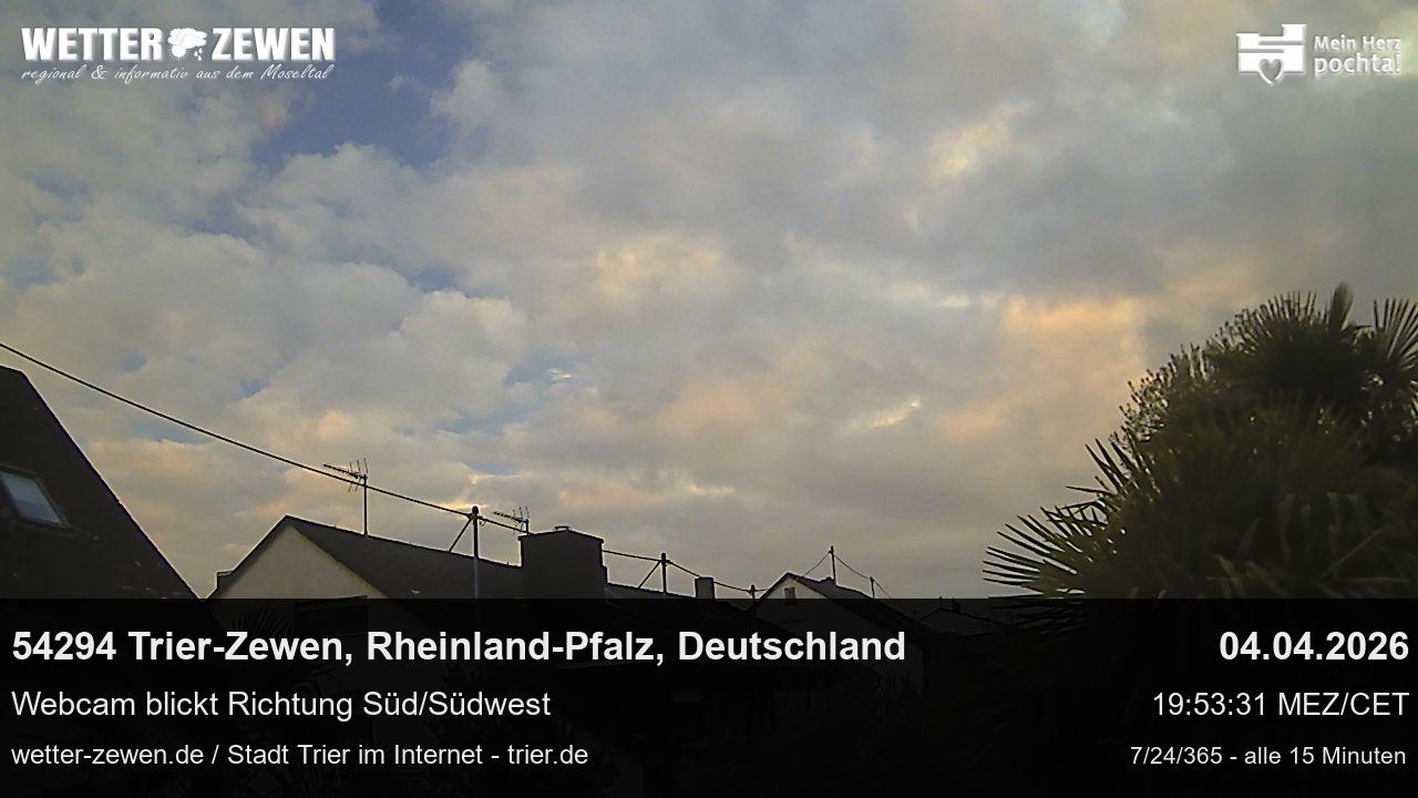Bild