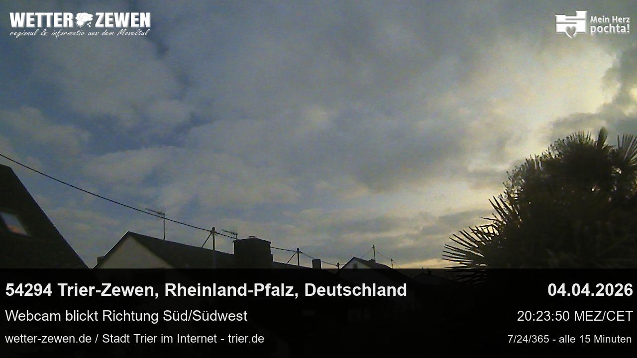 Bild