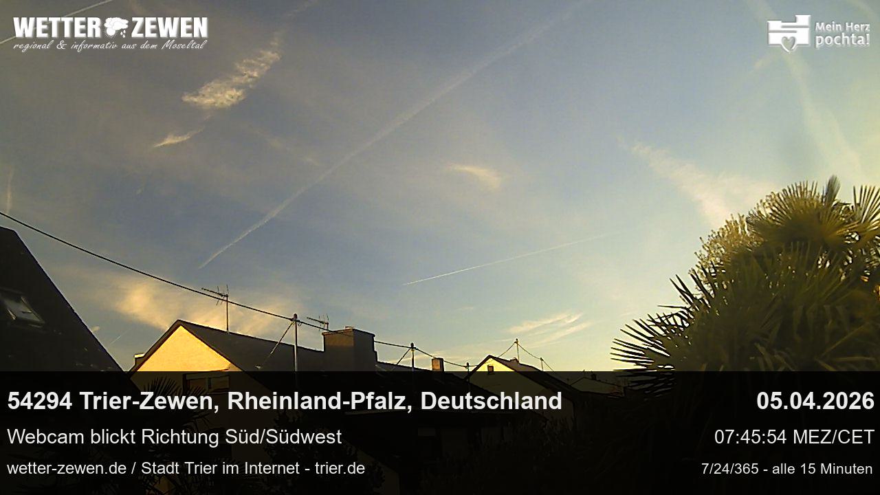 Bild