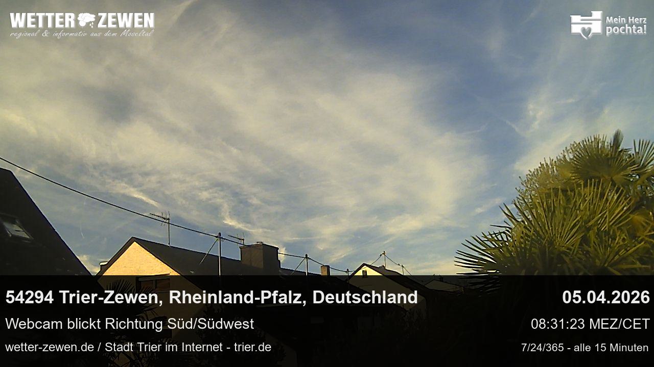 Bild