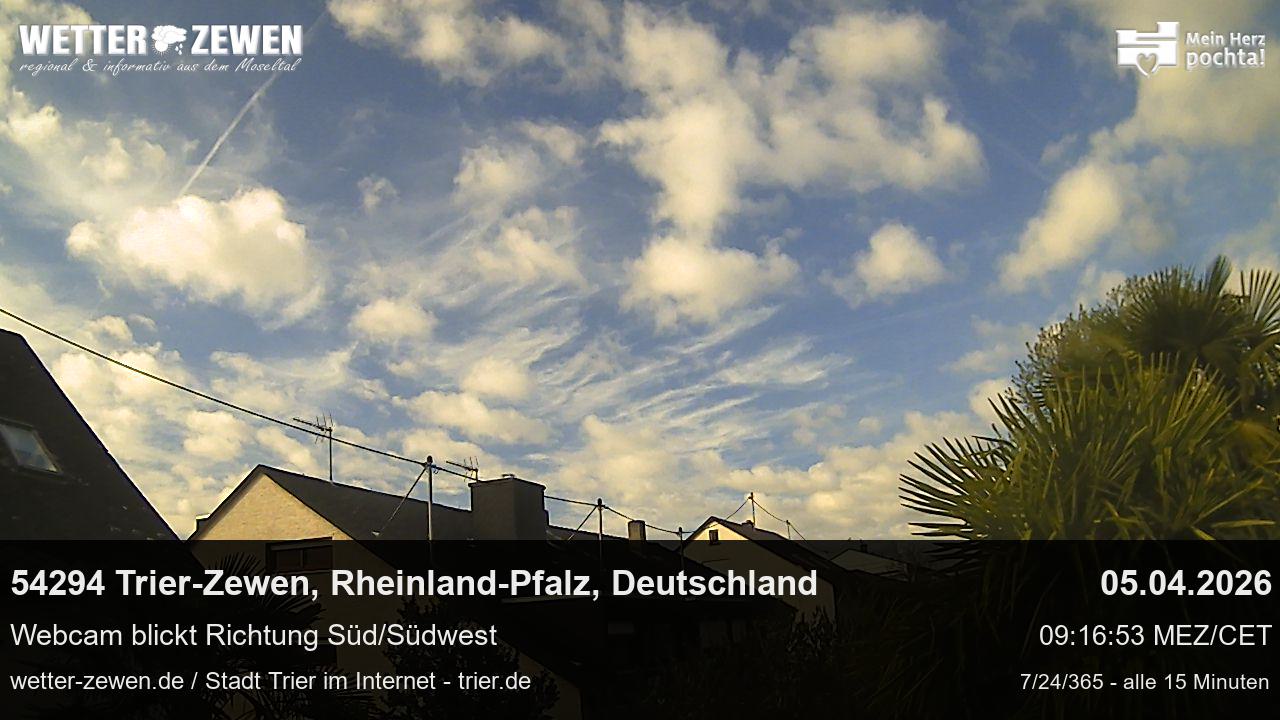 Bild