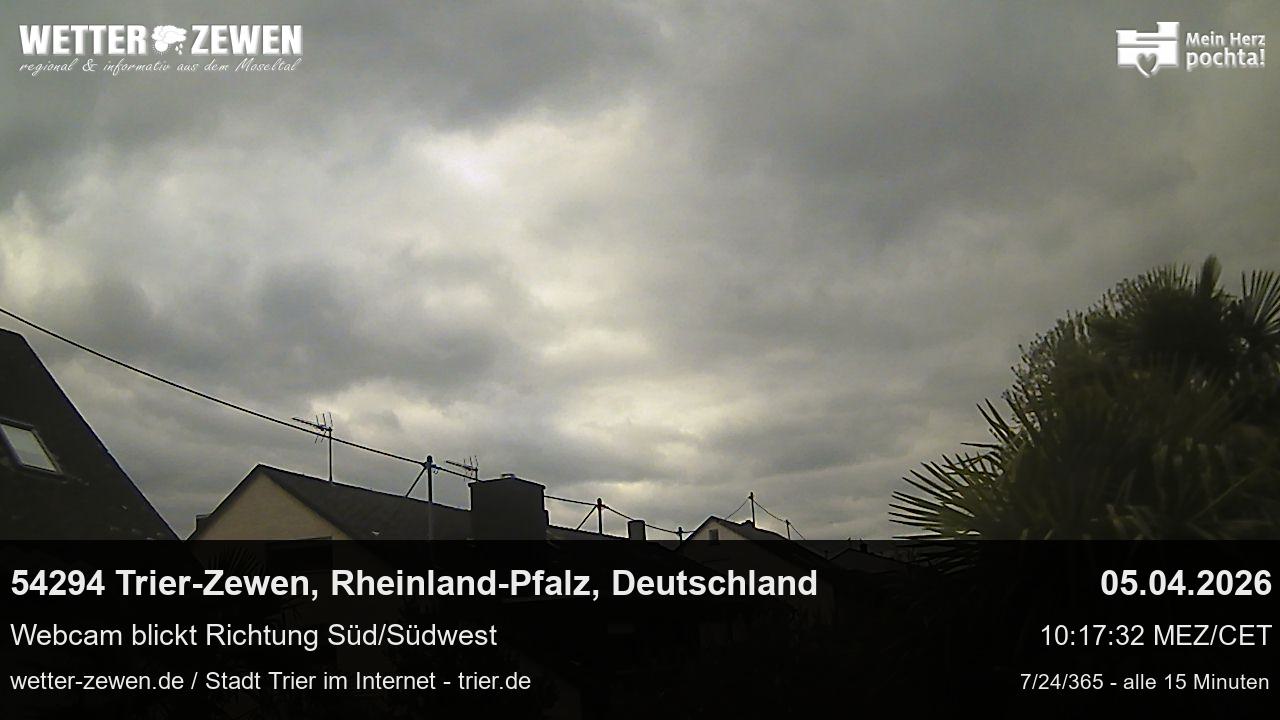 Bild