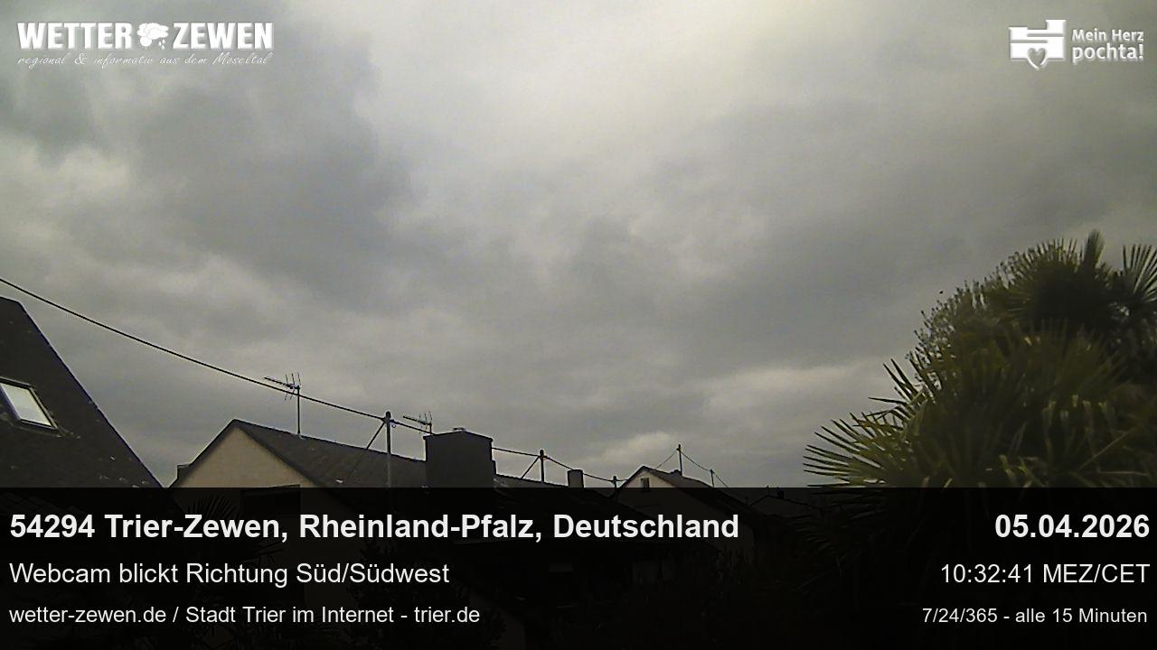 Bild