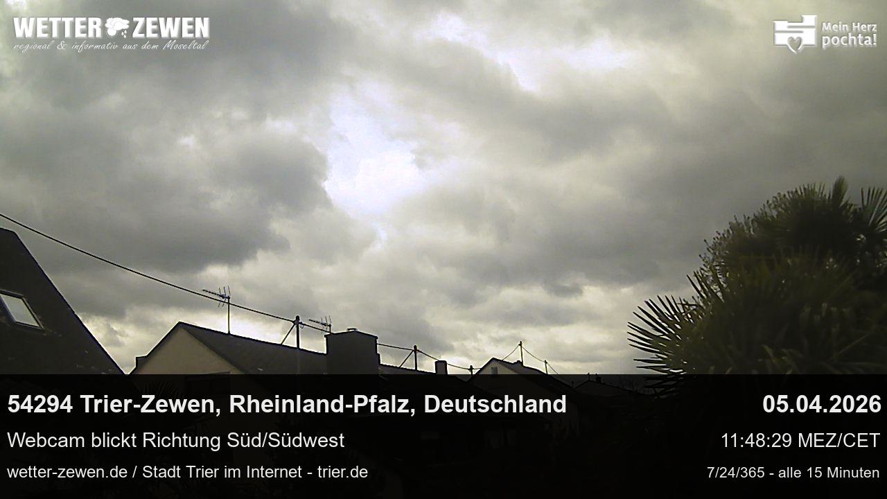 Bild