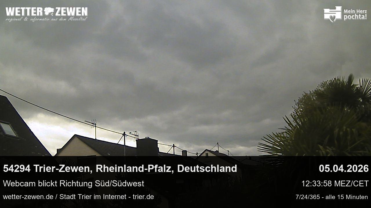 Bild