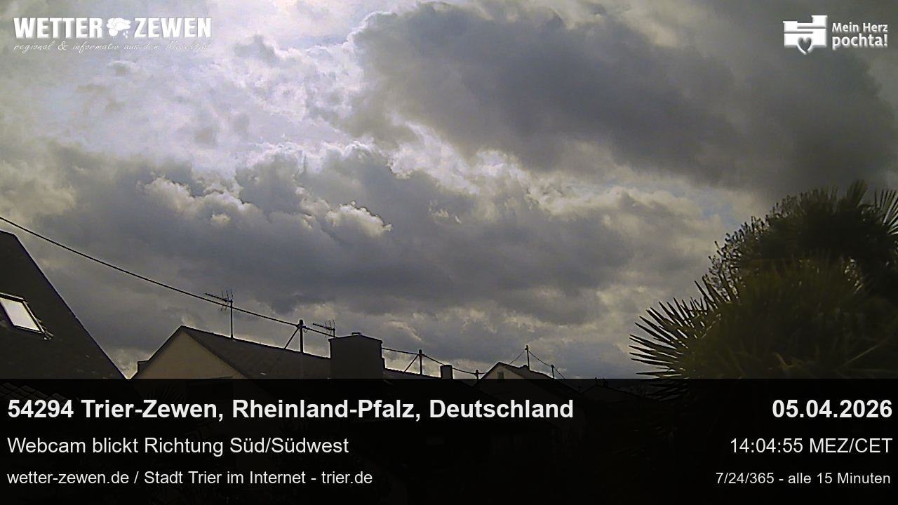 Bild