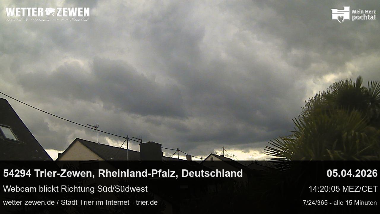 Bild