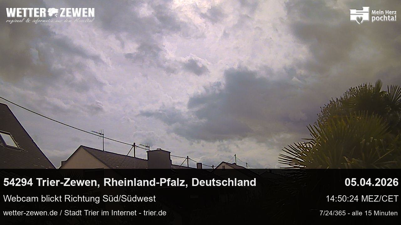 Bild