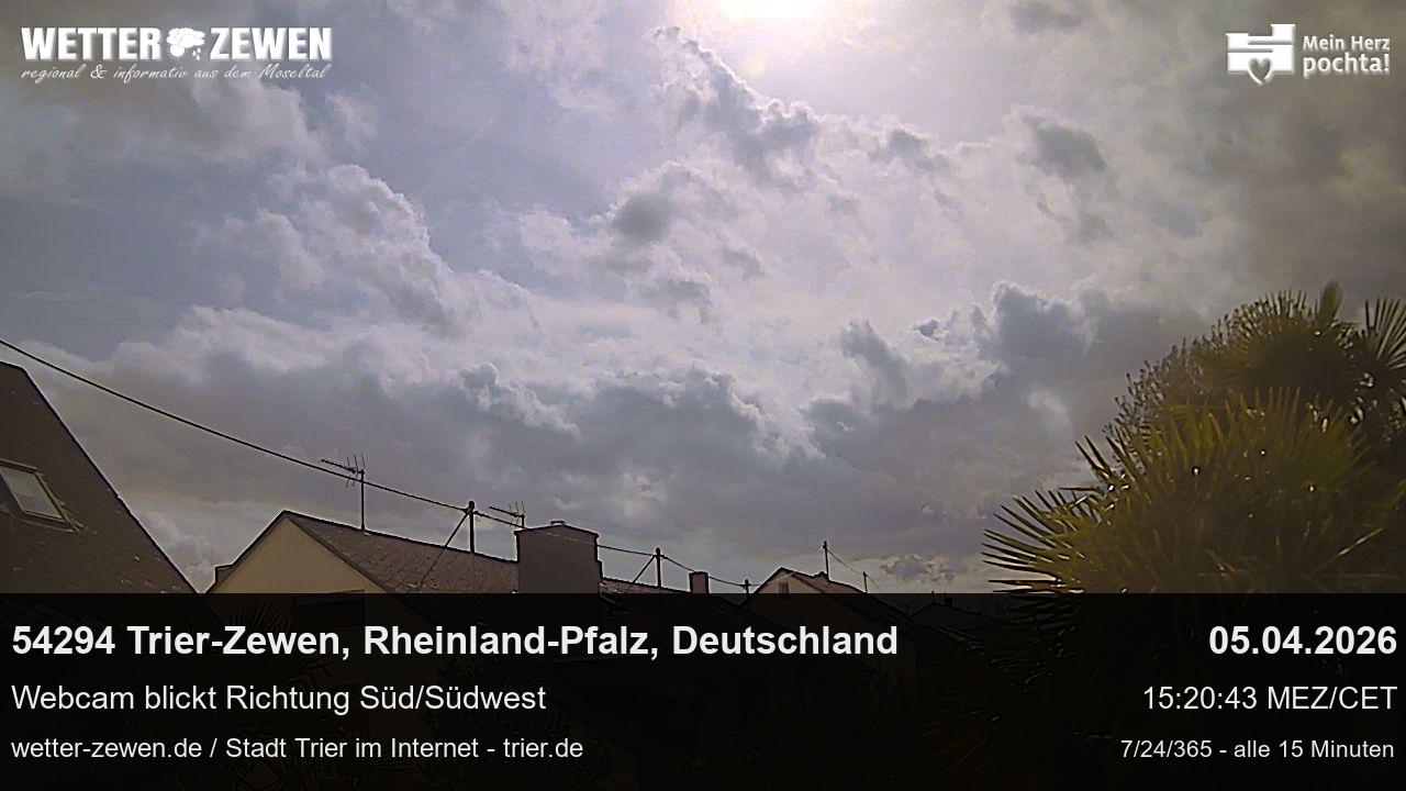 Bild