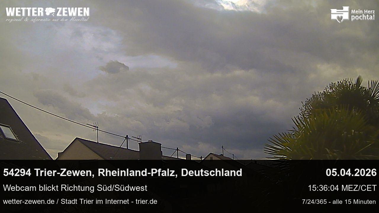 Bild