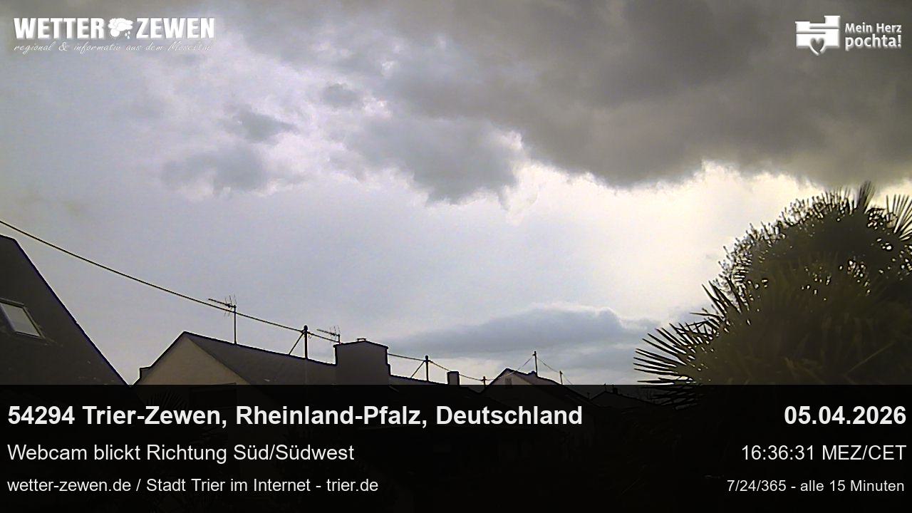 Bild