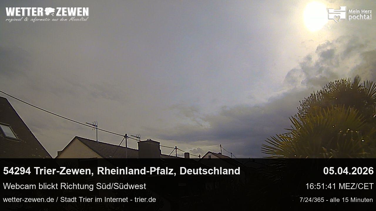 Bild