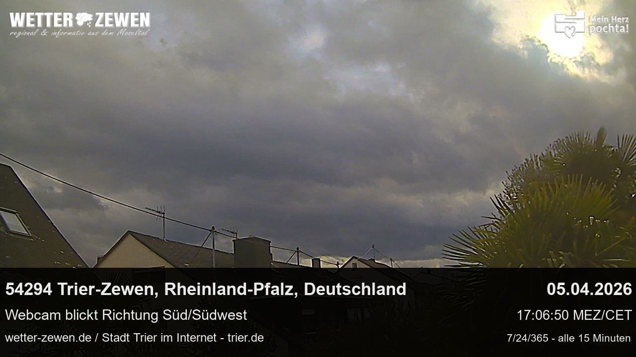 Bild