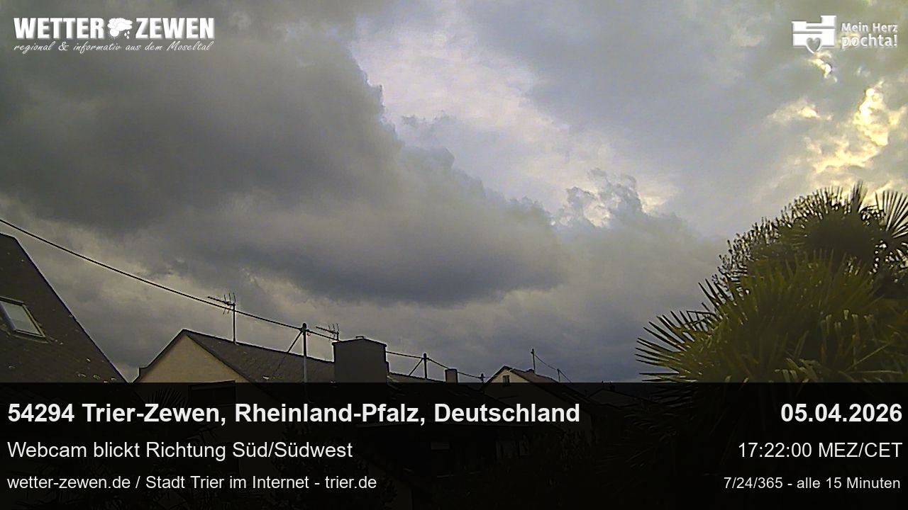 Bild
